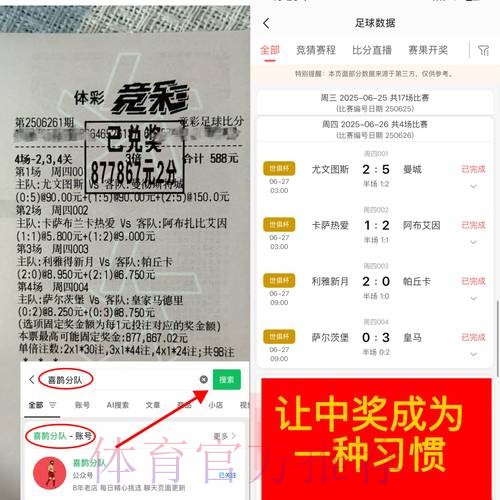 世界杯下注攻略：预算约束下的最佳投注方案